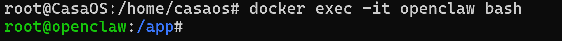 Terminal prompt changed to root@openclaw:/app